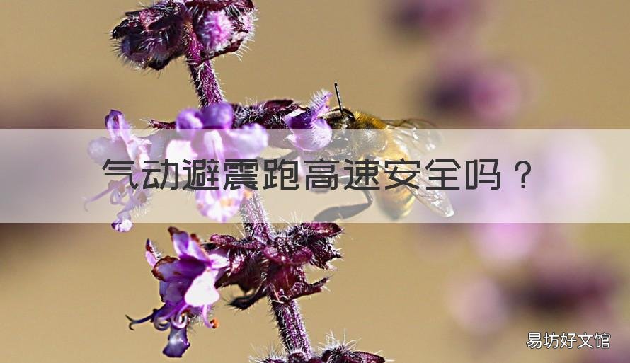 气动避震跑高速安全吗 气动避震能越野吗