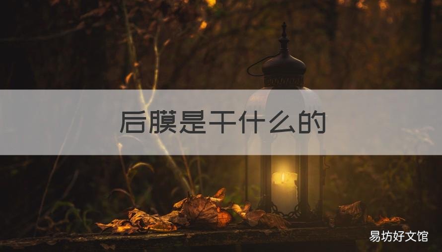 后膜是干什么的 后膜是干嘛的