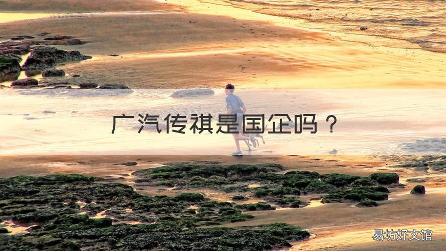 广汽传祺是国企吗 广汽传祺是央企吗