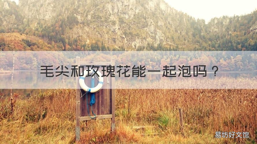 毛尖和玫瑰花能一起泡吗 茉莉花可以和毛尖一起泡