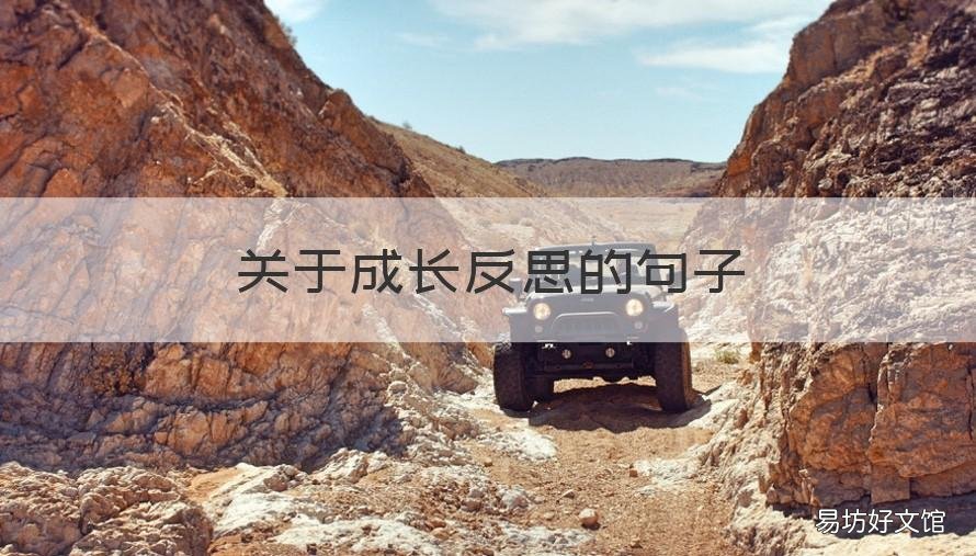 关于成长反思的句子 关于反思成长的名句