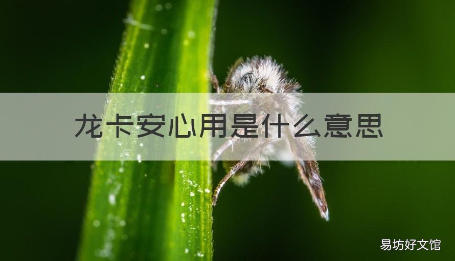龙卡安心用是什么意思 建行龙卡安心用是什么意思