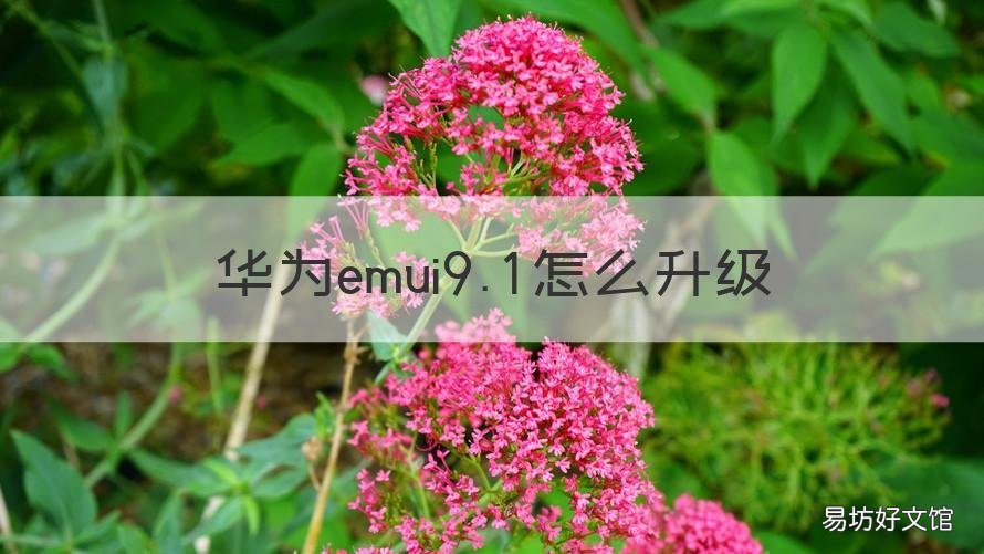 华为emui9.1怎么升级 华为系统升级emui9.1