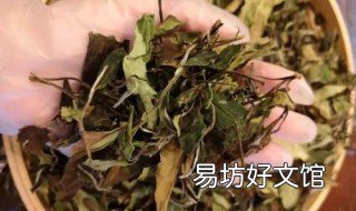 女人喝白茶的好处 女性喝白茶的好处和坏处