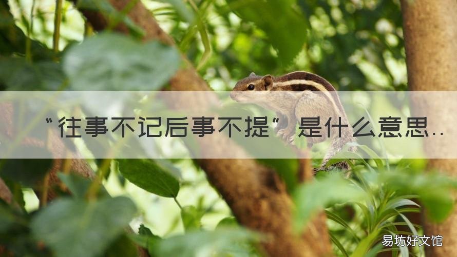 “往事不记后事不提”是什么意思 旧事不记后事不提