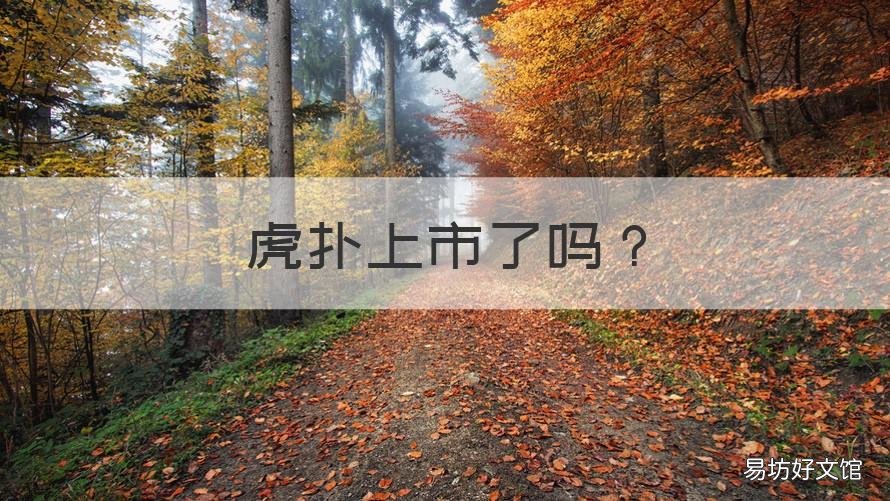 虎扑上市了吗 虎扑哪年有的