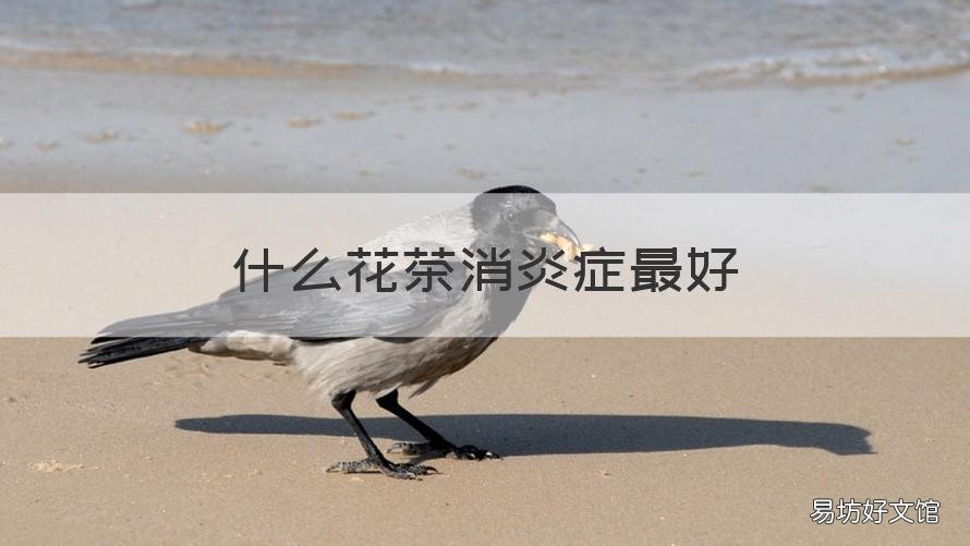 什么花茶消炎症最好 什么花茶消炎症最好喝