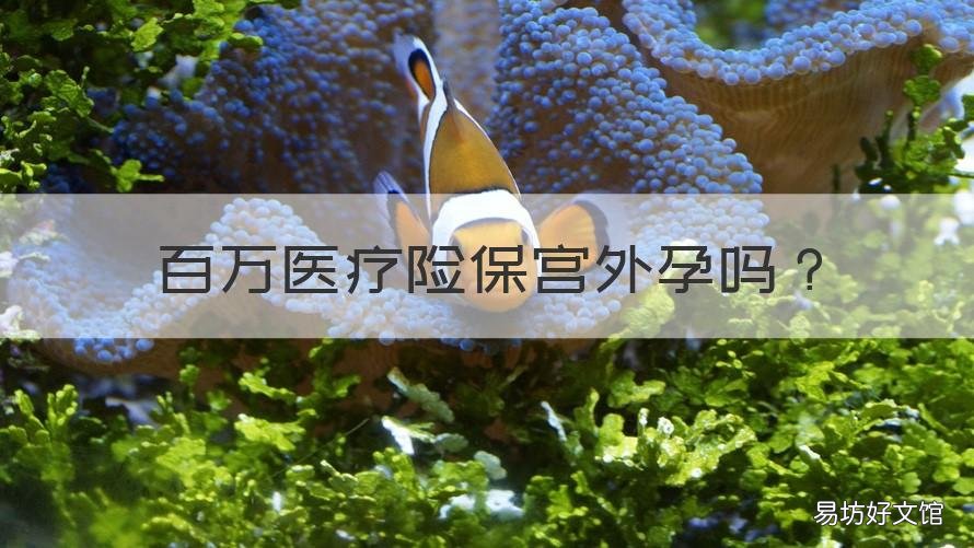 百万医疗险保宫外孕吗 做宫外孕可以医疗保险