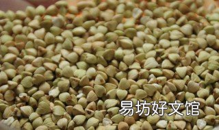 荞麦长期吃好处和坏处 长期吃荞麦对身体有什么影响