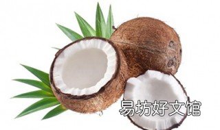 椰皇的功效 椰皇功效区别