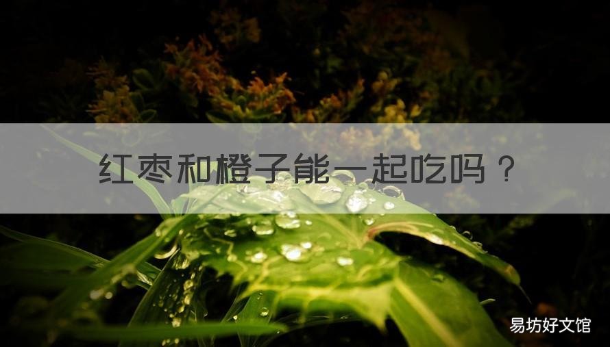 红枣和橙子能一起吃吗 橙子和红枣能不能一起吃