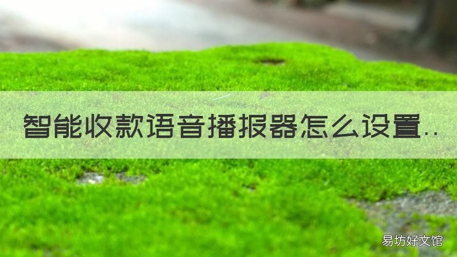 智能收款语音播报器怎么设置 智能收款语音播报器怎么设置WIFE