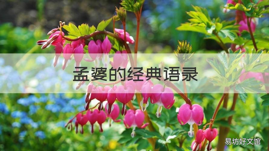 孟婆的经典语录 孟婆汤经典语录