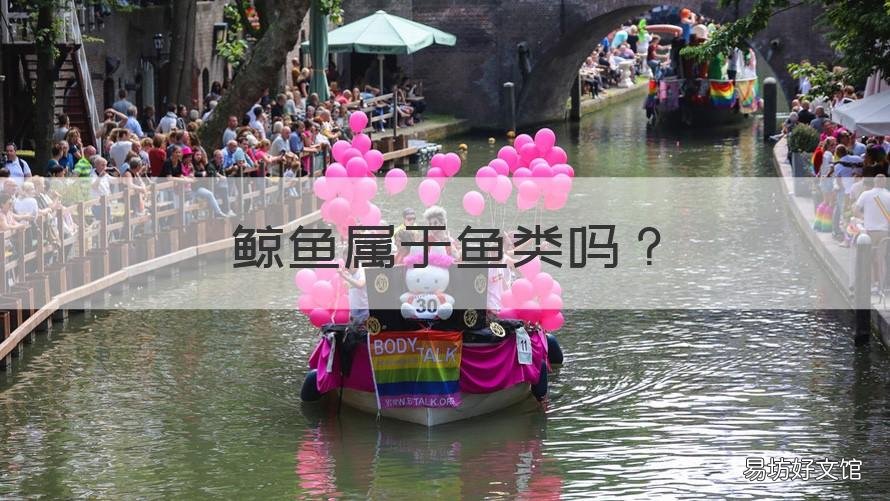 鲸鱼属于鱼类吗 鲸鱼是不是属于鱼的一类