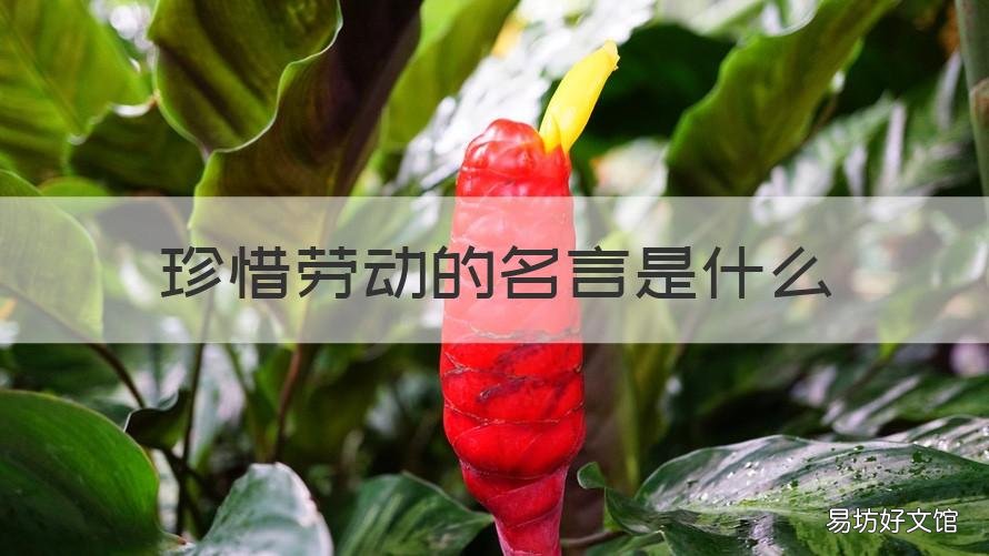 珍惜劳动的名言是什么 热爱劳动的名言警句