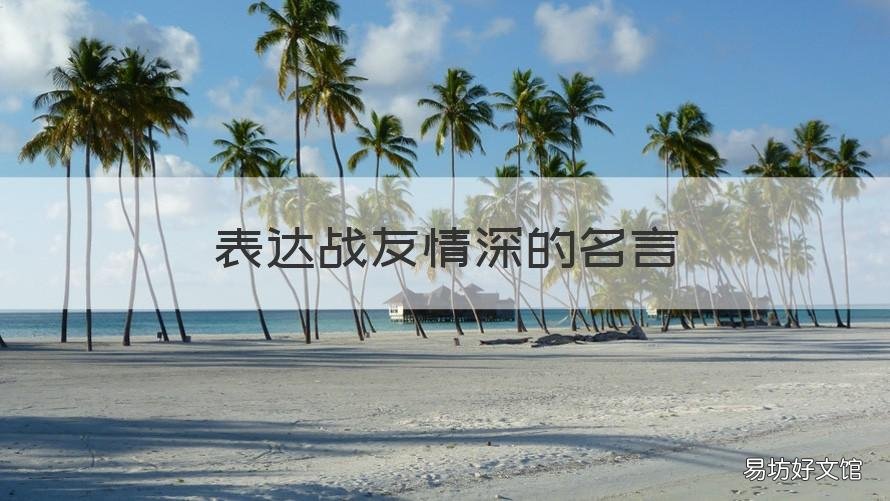 表达战友情深的名言 赞美战友情的名人名言