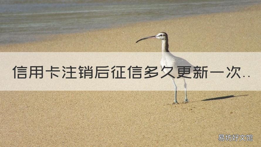 信用卡注销后征信多久更新一次 还清了信用卡征信会立刻更新吗