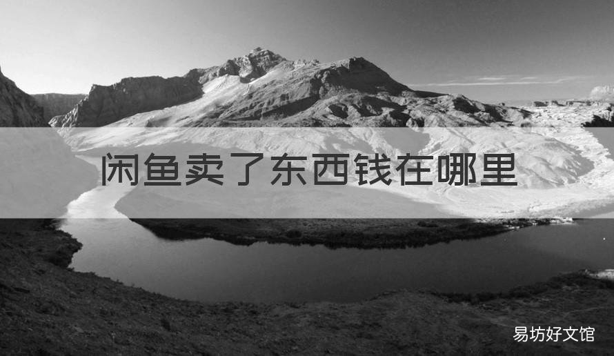 闲鱼卖了东西钱在哪里 在闲鱼卖出的东西钱在哪里