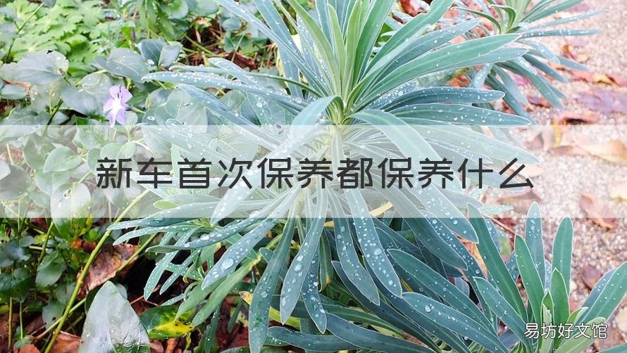 新车首次保养都保养什么 新车首次保养都保养什么?