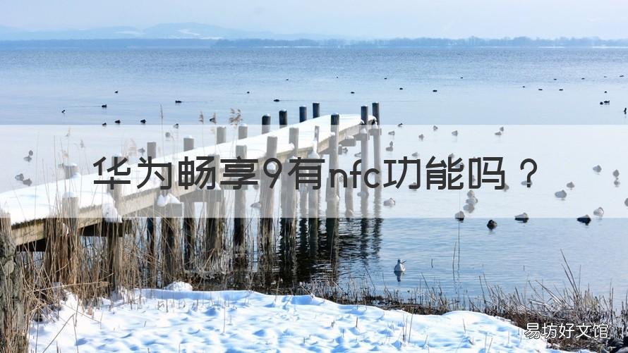 华为畅享9有nfc功能吗 华为畅享9支持nfc吗
