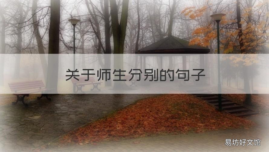 關(guān)于師生分別的句子 適合師生分別的語句