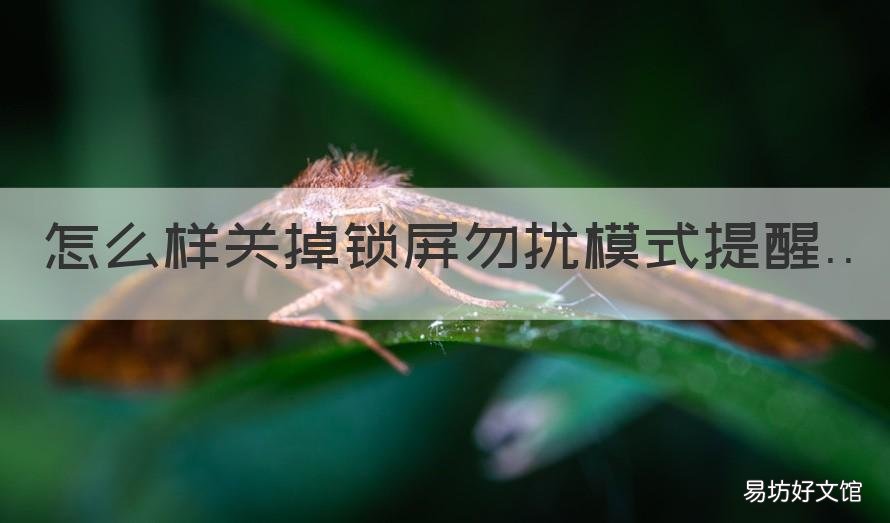 怎么样关掉锁屏勿扰模式提醒 苹果手机怎么关闭勿扰模式锁屏显示