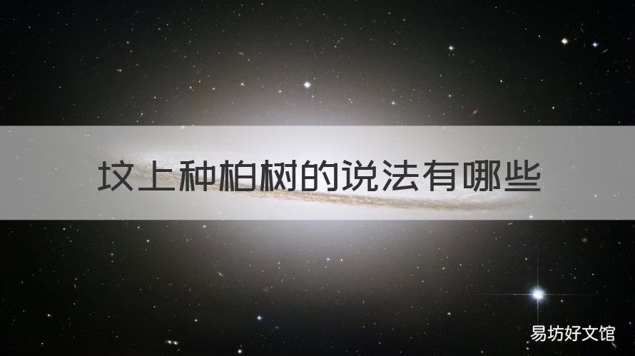 坟上种柏树的说法有哪些 坟前种柏树有什么寓意