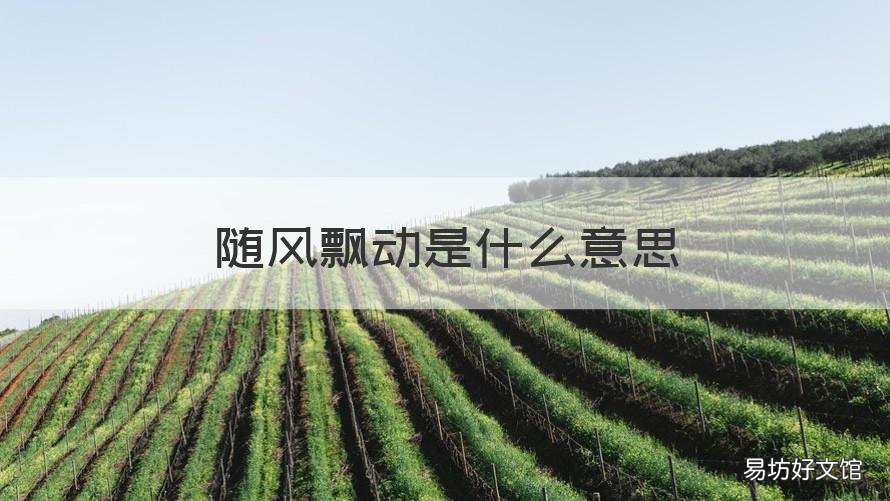 随风飘动是什么意思 随风飘起是什么意思