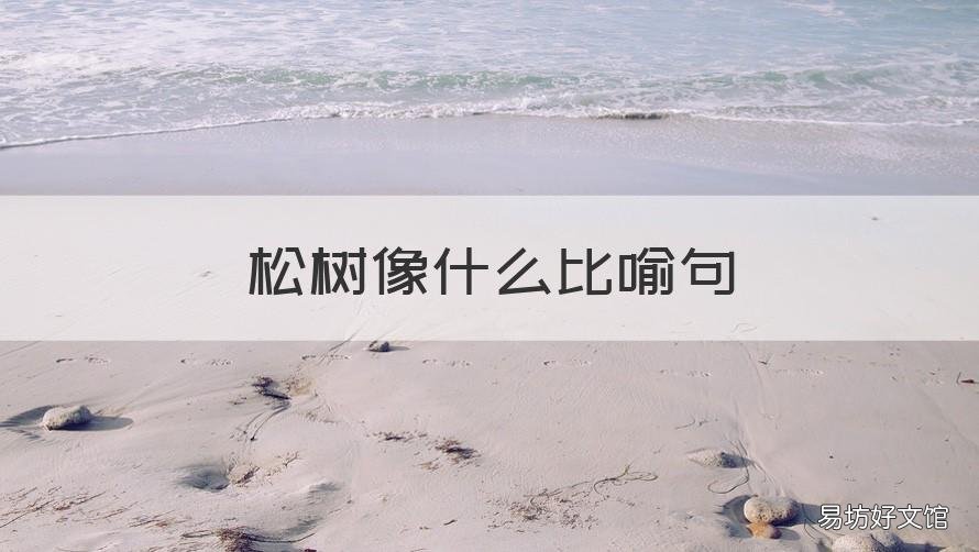 松树像什么比喻句 一棵棵松树像什么比喻句