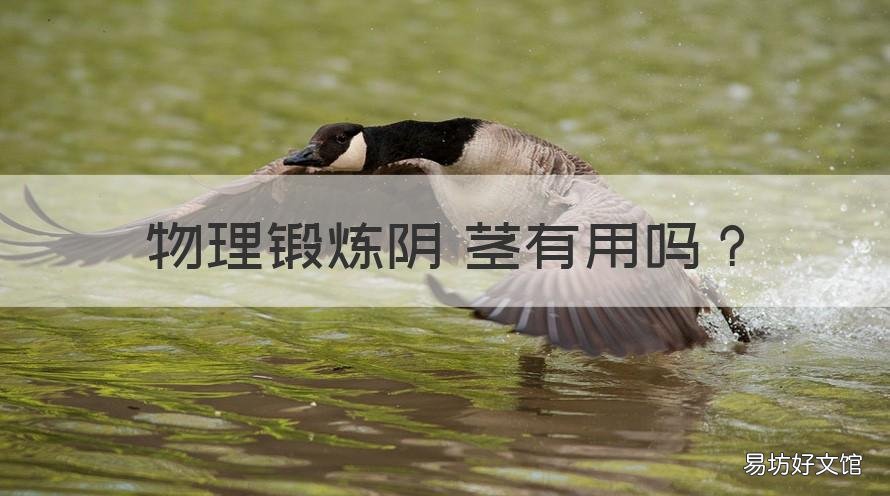 物理锻炼阴 茎有用吗 物理锻炼阴 茎有用吗知乎