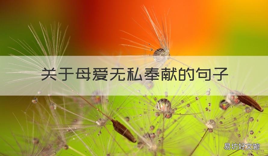 关于母爱无私奉献的句子 描写母爱无私奉献的句子