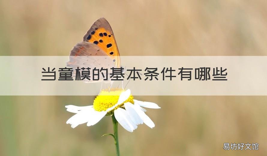 当童模的基本条件有哪些 怎么才能当童模?