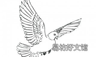 国庆鸽子怎么画 国庆鸽子画画