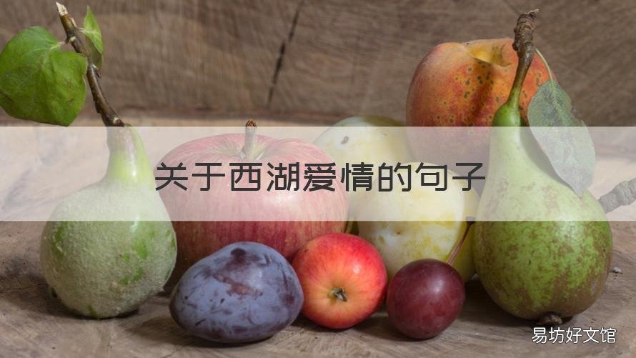 关于西湖爱情的句子 关于西湖的情话