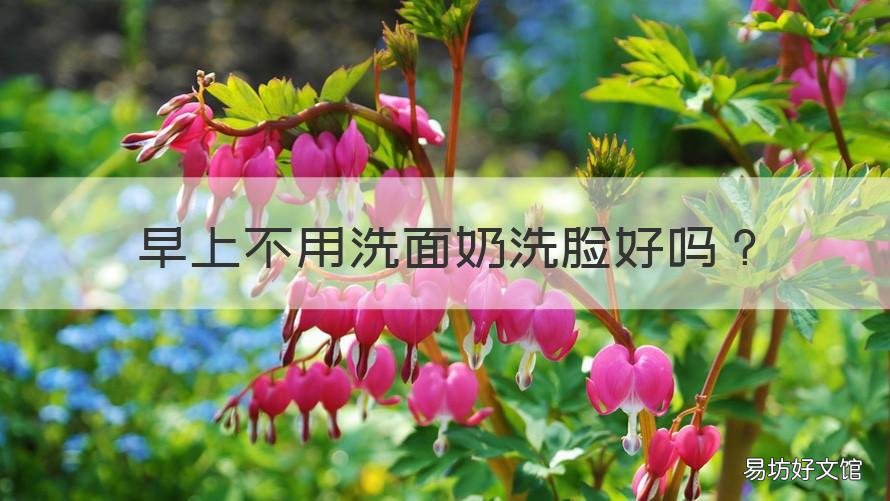 早上不用洗面奶洗脸好吗 早晨洗脸不用洗面奶可以吗