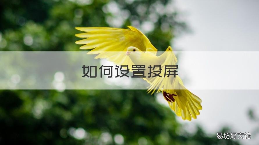 如何设置投屏 如何手机屏幕投屏到电视机