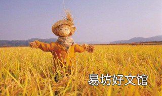 玉米宽窄行种植间距 玉米宽窄行种植间距多少合适