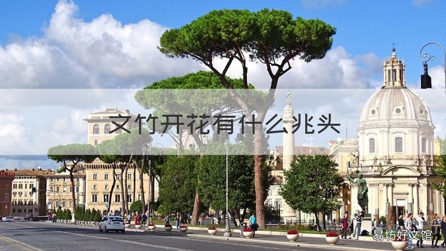 文竹开花有什么兆头 文竹开花是什么兆头