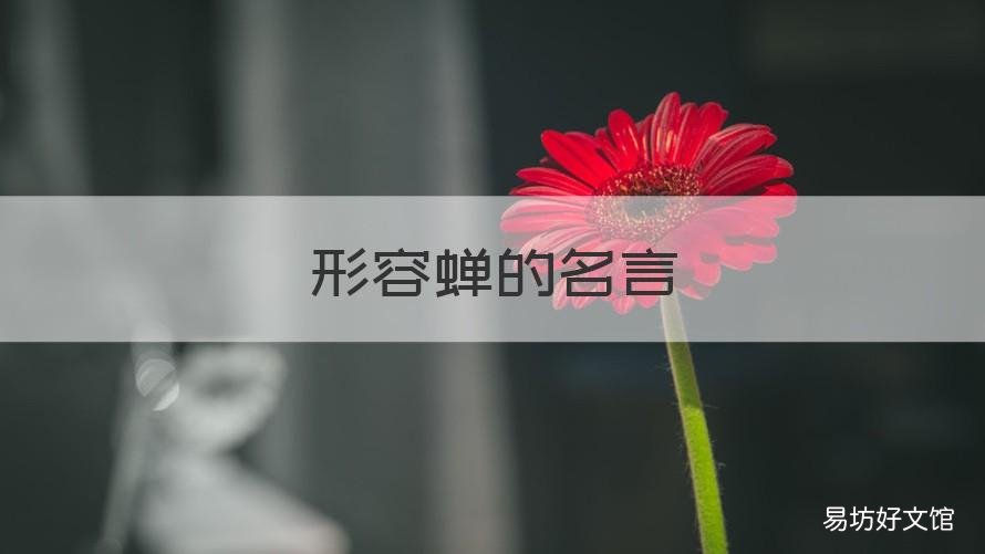 形容蝉的名言 形容蝉的名言警句
