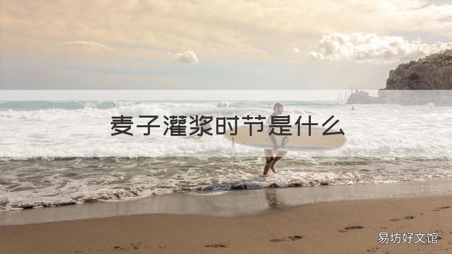麦子灌浆时节是什么 麦子灌浆期是几月几号