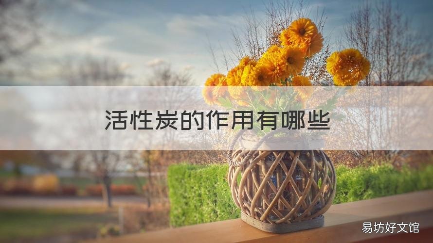 活性炭的作用有哪些 活性炭啥作用