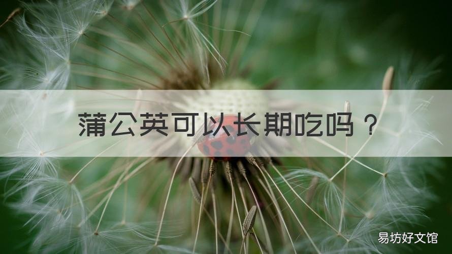 蒲公英可以长期吃吗 蒲公英能长期吃吗?