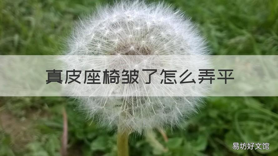 真皮座椅皱了怎么弄平 真皮座椅皱了怎么才能弄平
