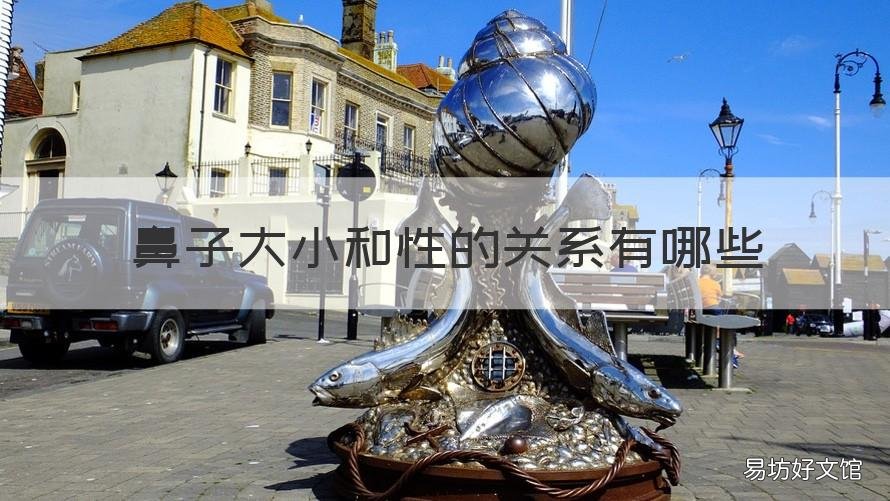 鼻子大小和性的关系有哪些 鼻子大跟什么有关系