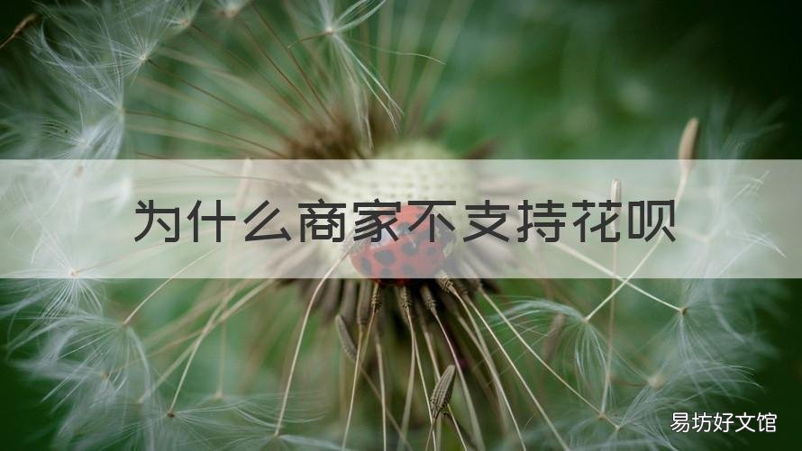 为什么商家不支持花呗 商家不支持花呗付款怎么办