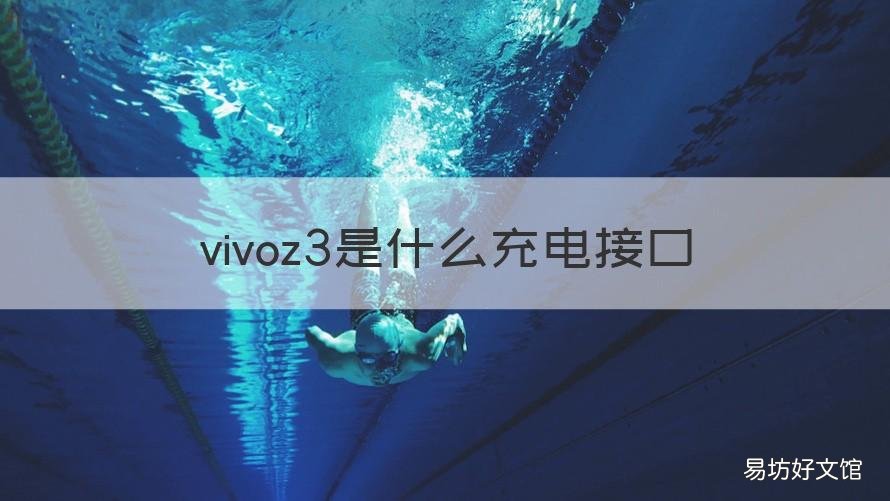 vivoz3是什么充电接口 vivoz3充电口图片