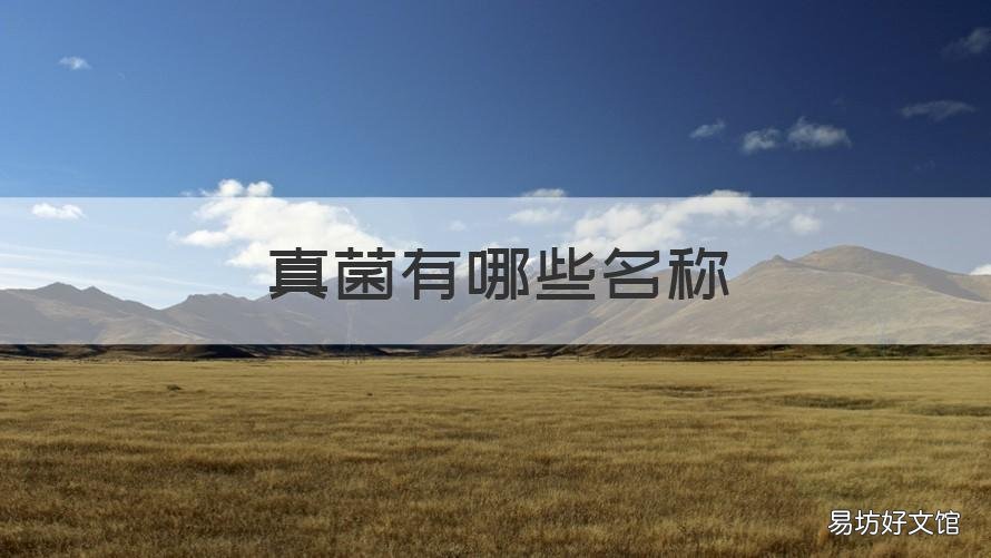 真菌有哪些名称 真菌有哪些名称图片