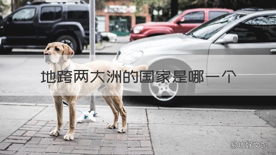 地跨两大洲的国家是哪一个 世界上地跨两大洲的国家有哪些