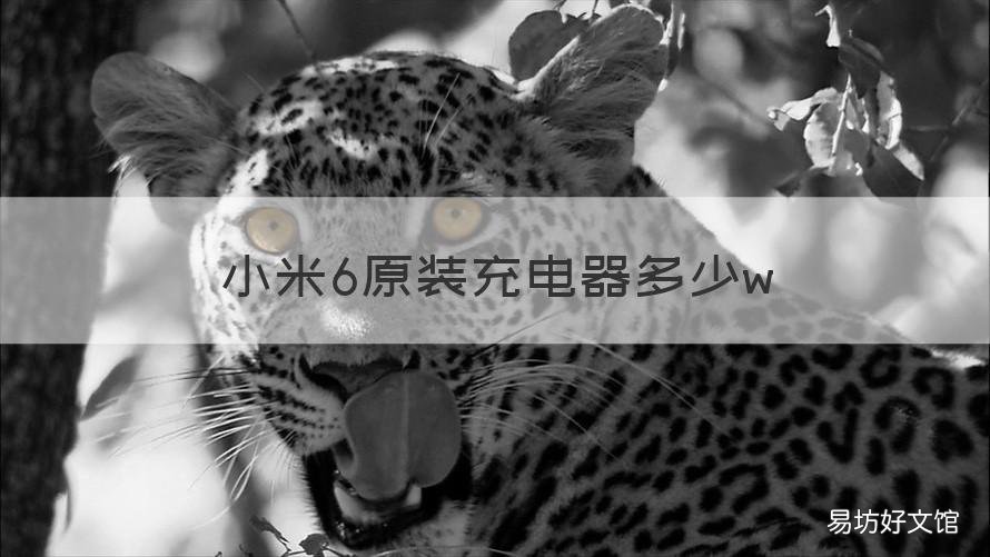 小米6原装充电器多少w 小米6充电器规格