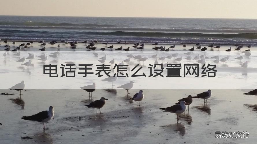 电话手表怎么设置网络 电话手表怎么设置无线网络